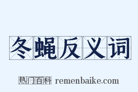 冬蝇反义词是什么意思的图片